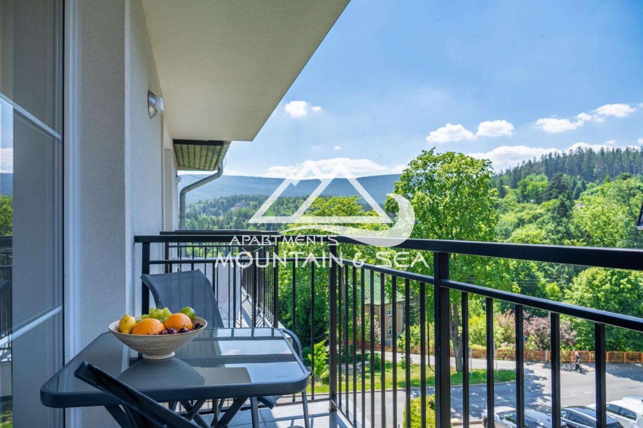 Apartament Grey Шклярська Поремба Екстер'єр фото